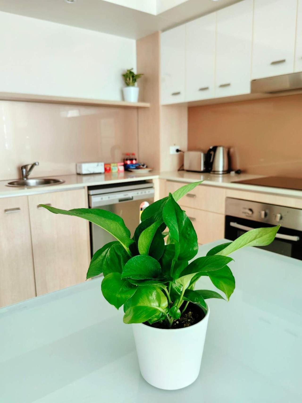 Two Comfy Bedrooms * Gold Coast